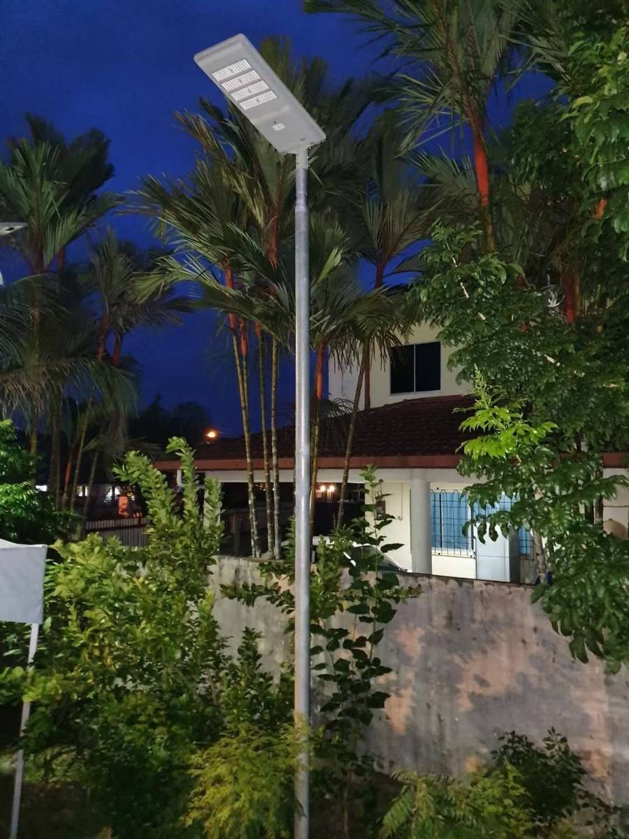 Solar street light among palm trees at dusk