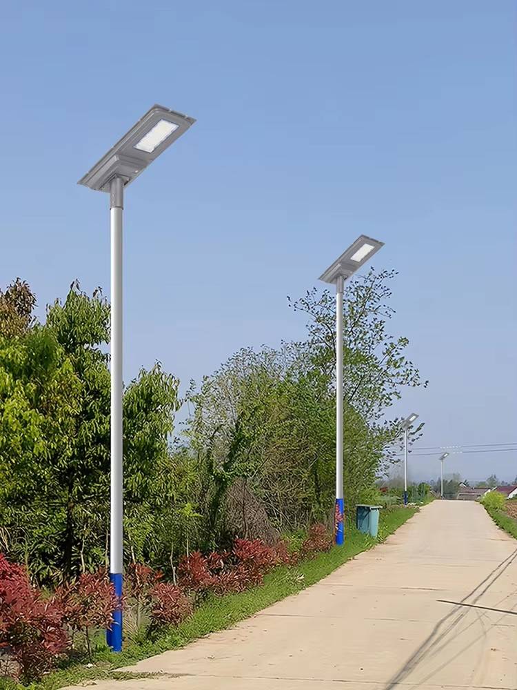 Solar street lights along a walkway