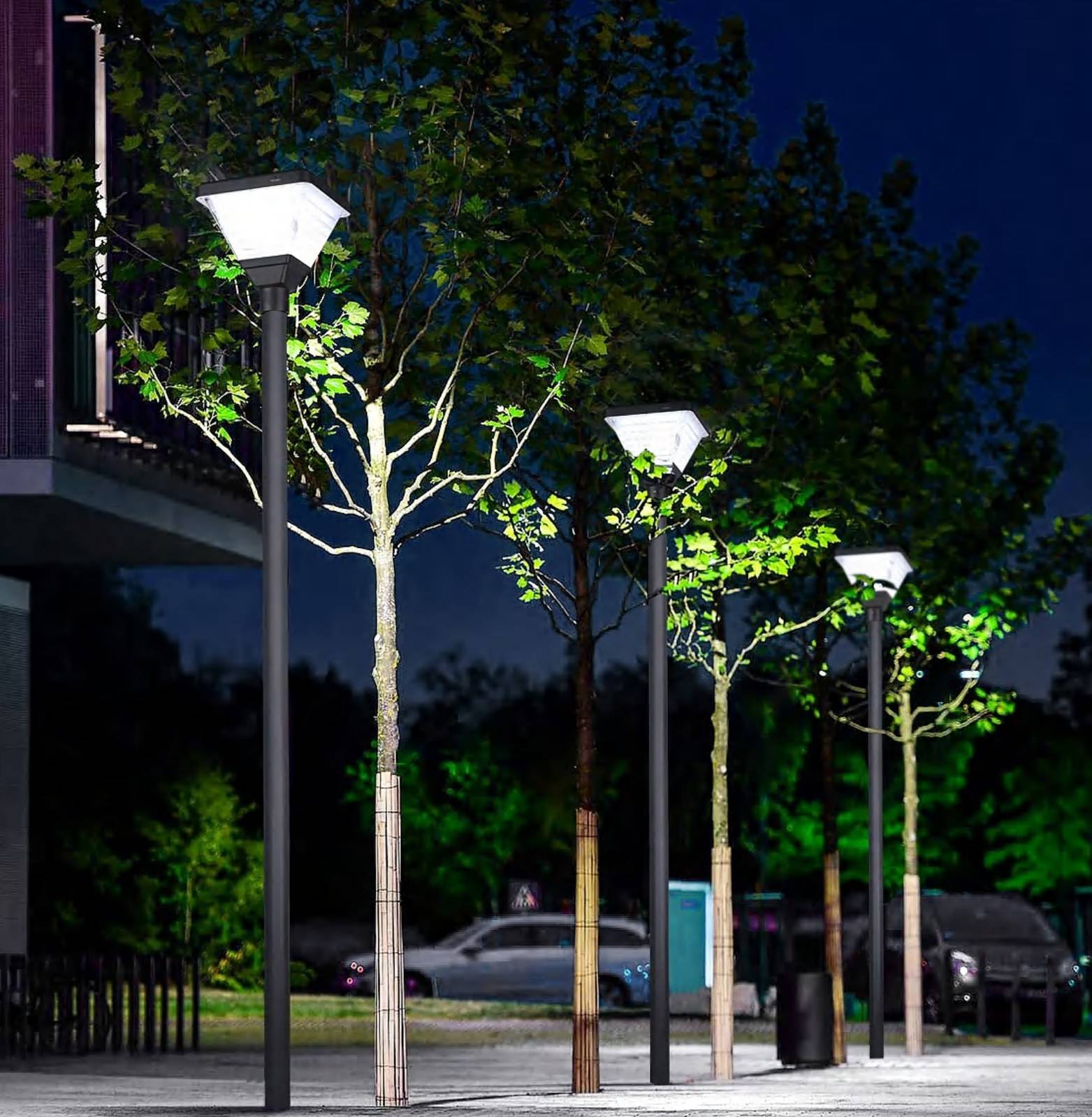 ZC-GGD001 solar garden lights lighting a planted walkway