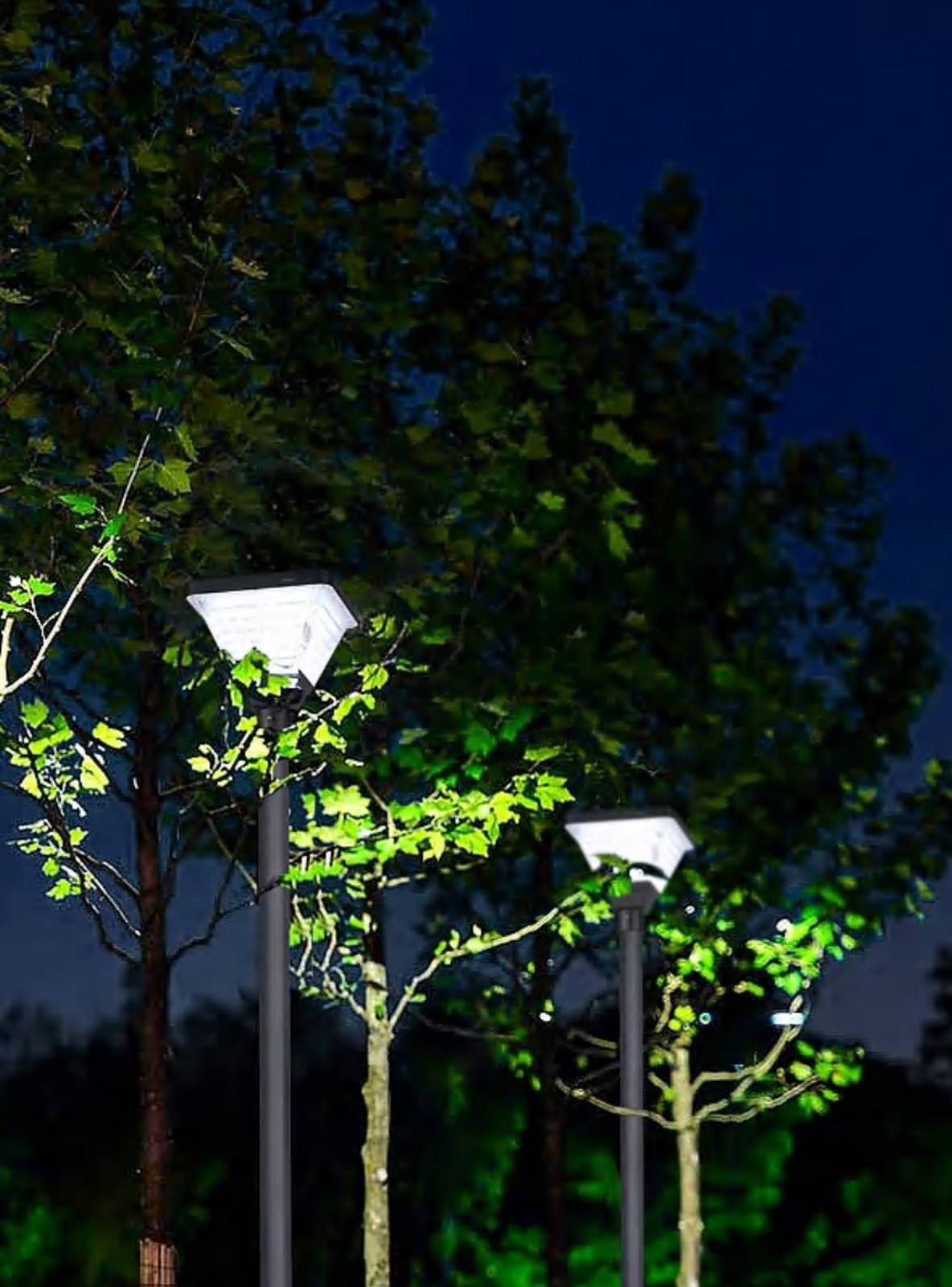 ZC-GGD001 ribbed post-top luminaire between trees