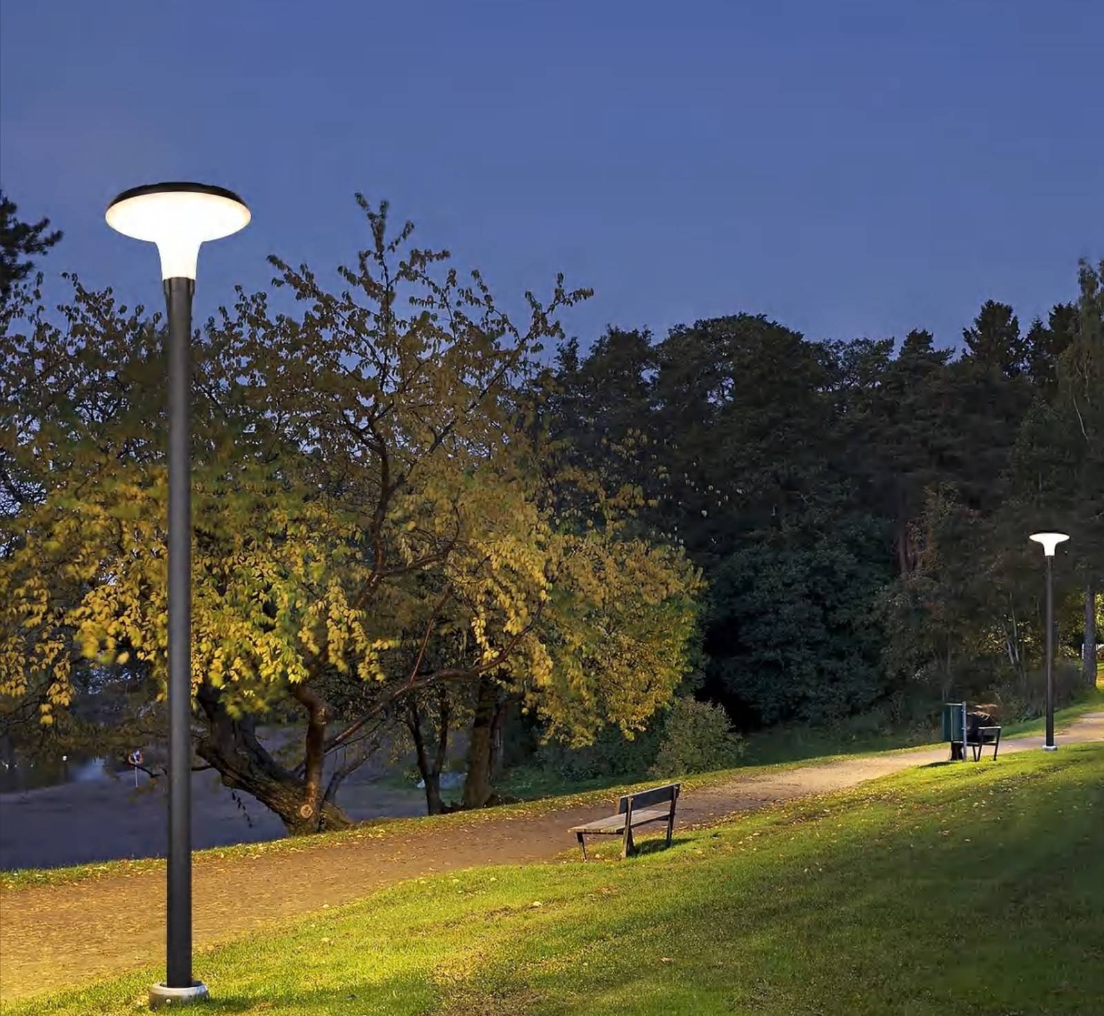 ZC-TYD1104 solar garden lights along a park footpath at dusk