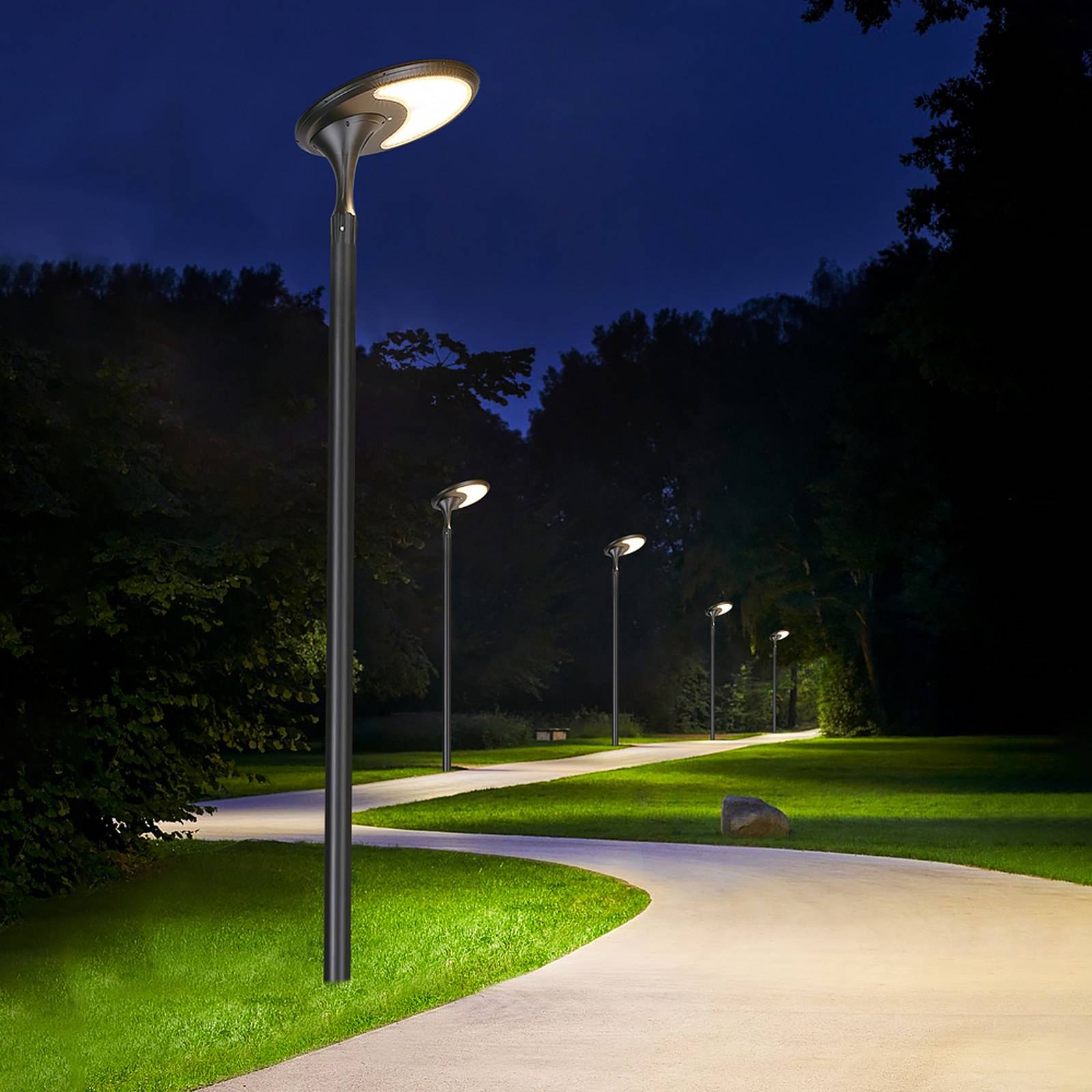 ZC-TYD2808 garden light on a post in a landscaped garden